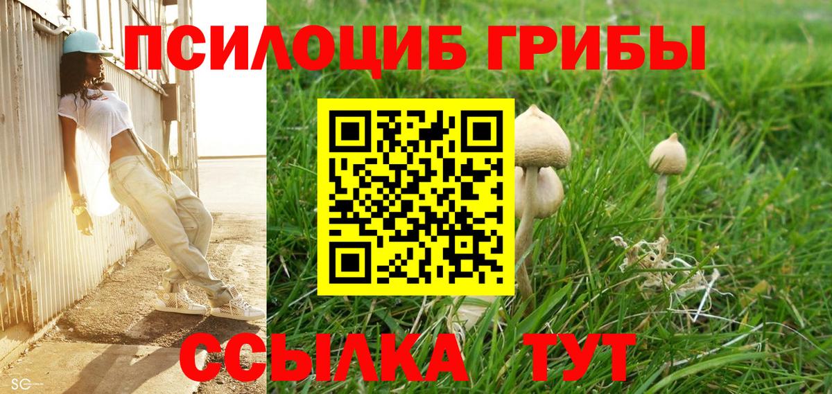 Псилоцибиновые грибы прущие грибы Калининград