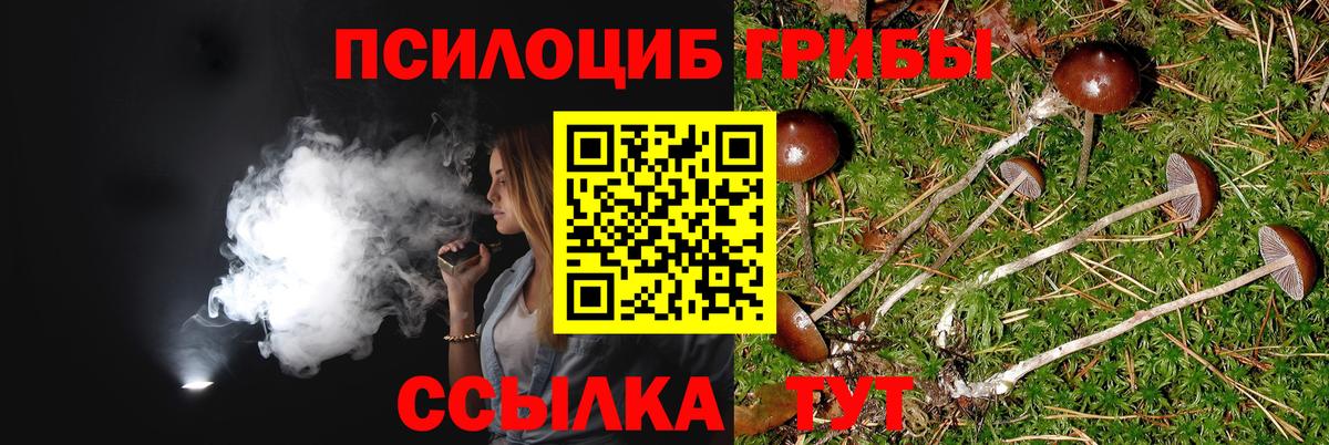 Калининград  Галлюциногенные грибы ЛСД  Галлюциногенные грибы GOLDEN TEACHER  Вход с VPN 